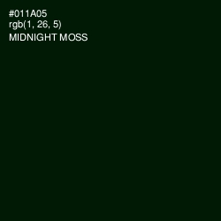 #011A05 - Midnight Moss Color Image